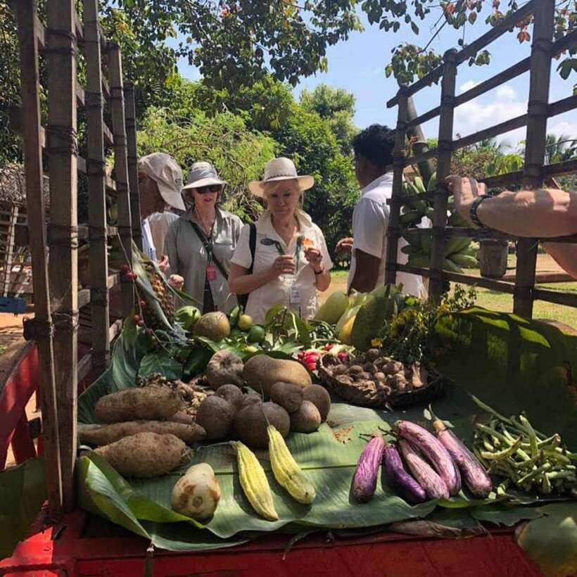 Agro village: guided walking tour and local lunch - Is $141 per person good value?