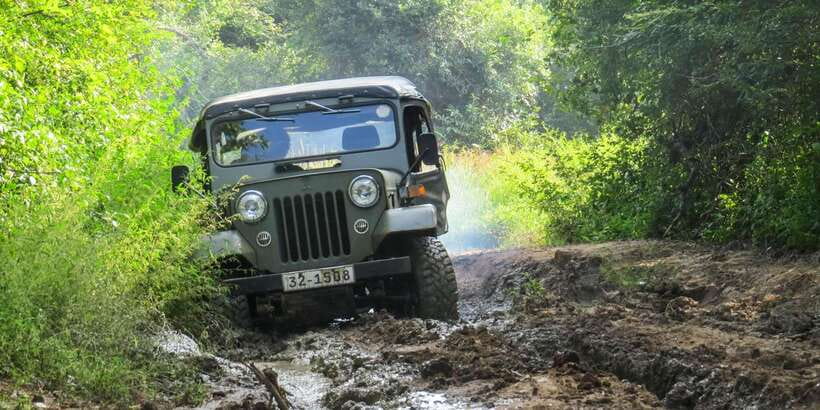 Ahangama: Udawalawe National Park Safari with Hotel Pickup - Key points to know before booking