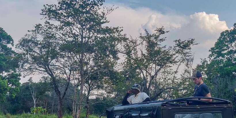 Ahangama: Udawalawe National Park Safari with Hotel Pickup - Why this safari makes sense from Ahangama