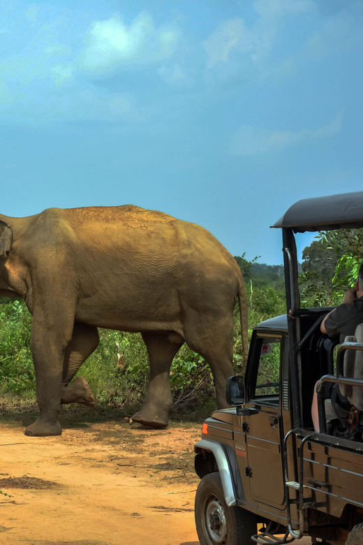 Ahangama: Udawalawe National Park Safari with Hotel Pickup - Is $110 a fair price?