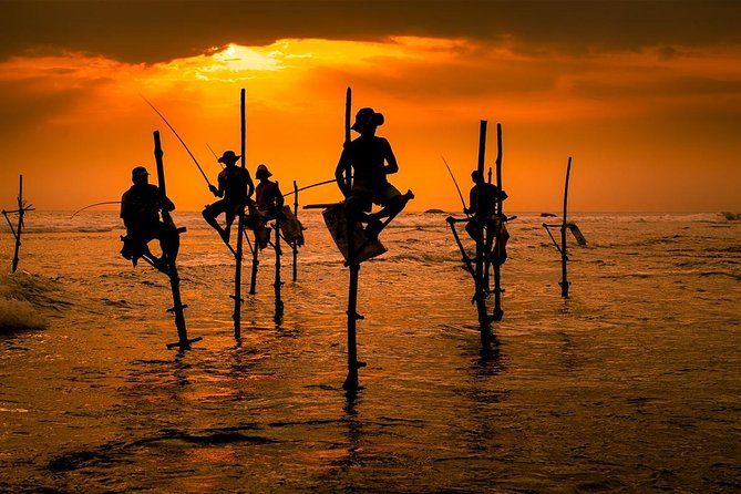 Airport drop From Galle, Hikkaduwa, Mirissa or Unawatuna - Key points before you book