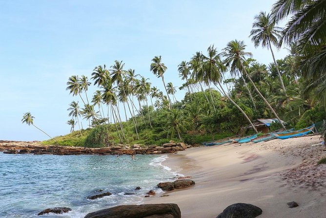 Airport Drop from Tangalle - Is $80 a good value for two people?