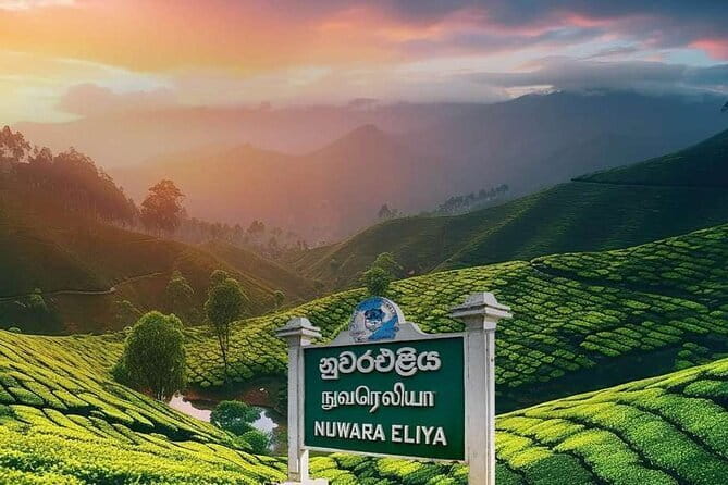 Airport Taxi Transfers from Colombo Airport to Hiriketiya - Who will find this transfer useful