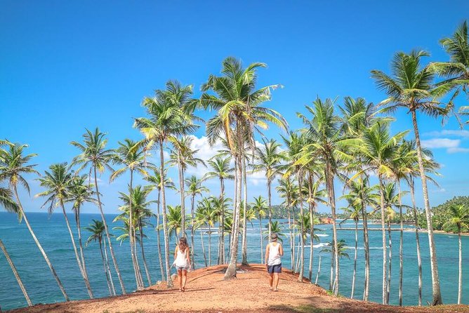Airport Taxi Transfers from Colombo Airport to Mirissa - Key Points Before You Book