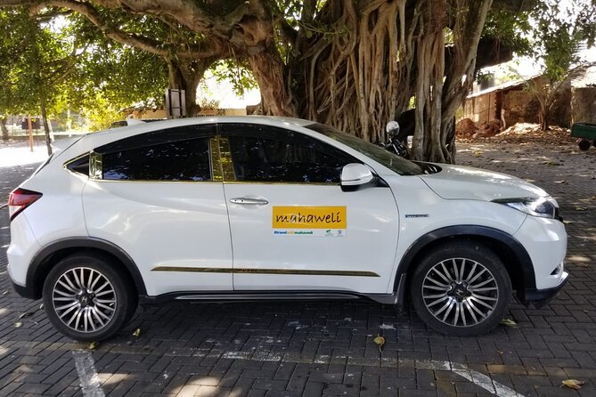 Airport to Kandy Drop - Who will like this transfer most?