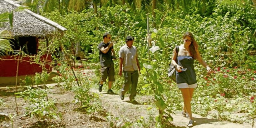 All-Inclusive Dambulla Village Tour with Traditional Lunch - Walking through Dambulla’s paddy fields