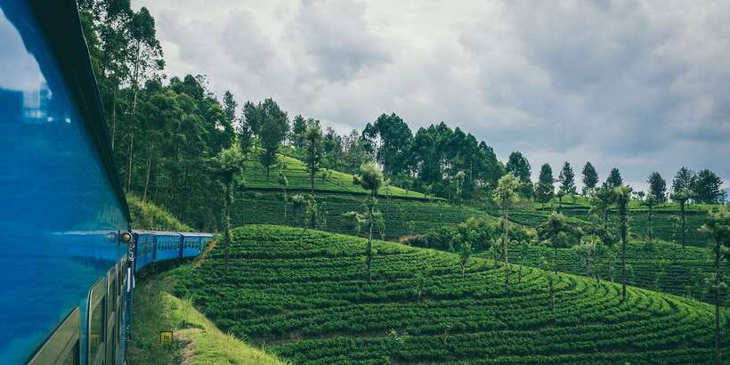 All Inclusive Ella From/To Kandy Scenic Train Journey - Why the Kandy to Ella train ride matters