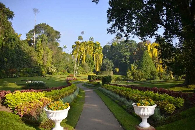 All Inclusive Kandy Private Day Tour From Colombo and Negombo - Udawattakele adds forest inside the city