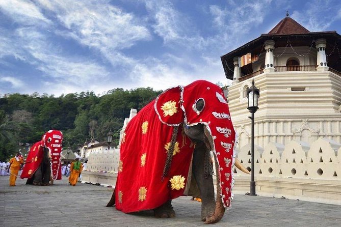 All Inclusive Kandy Private Day Tour From Colombo and Negombo - The herbal garden and craft stops need a clear plan