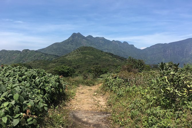 All Inclusive Knuckles Day Track With Accommodation - Key Points At A Glance