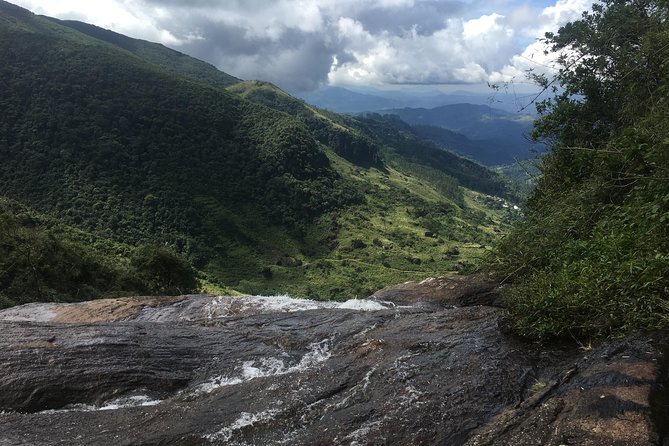 All Inclusive Knuckles Day Track With Accommodation - From Tea Plantations To Pygmy Forest