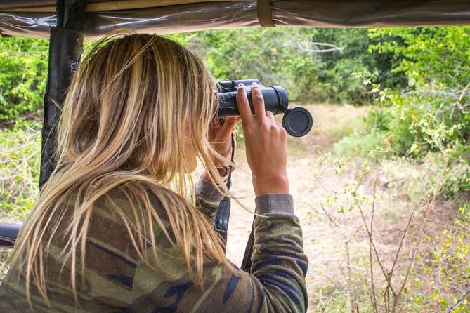 All Inclusive Leopard Nest Treehouse Safari in Yala - The 5:00 am lake walk and dawn safari