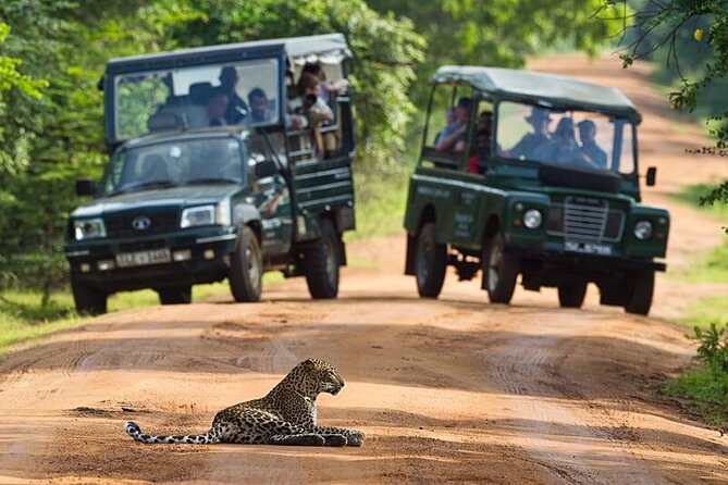 All inclusive leopard safari Wilpattu with guide - Why Wilpattu makes a strong leopard destination