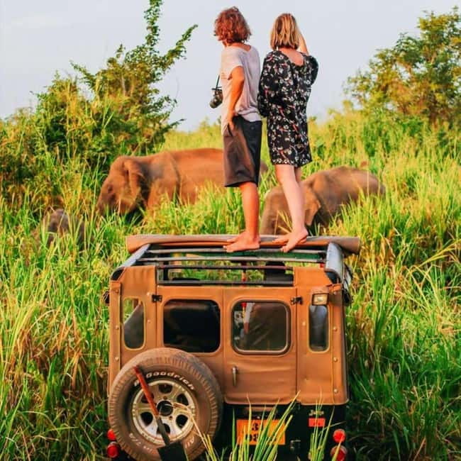 All-Inclusive Minneriya National Park Afternoon Safari - Giving elephants the right of way