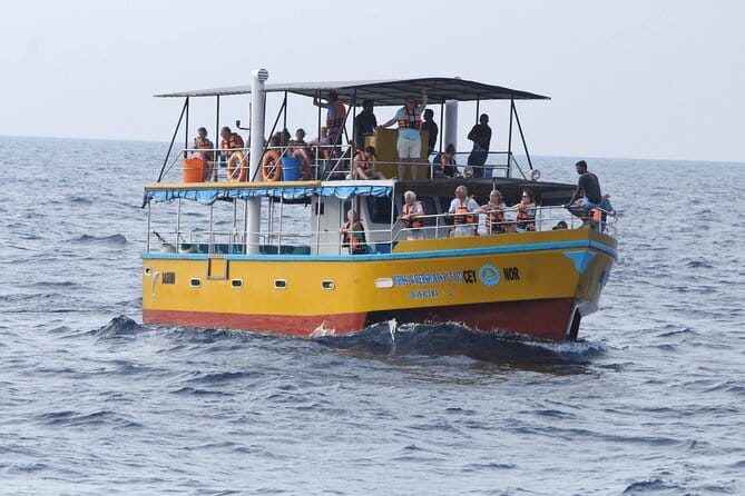 All Inclusive Mirissa Whale and Dolphin Watching Boat Ride - Key points to know before booking