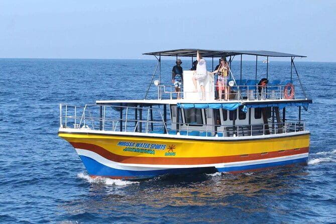 All Inclusive Mirissa Whale and Dolphin Watching Boat Ride - Is $90 a fair price?
