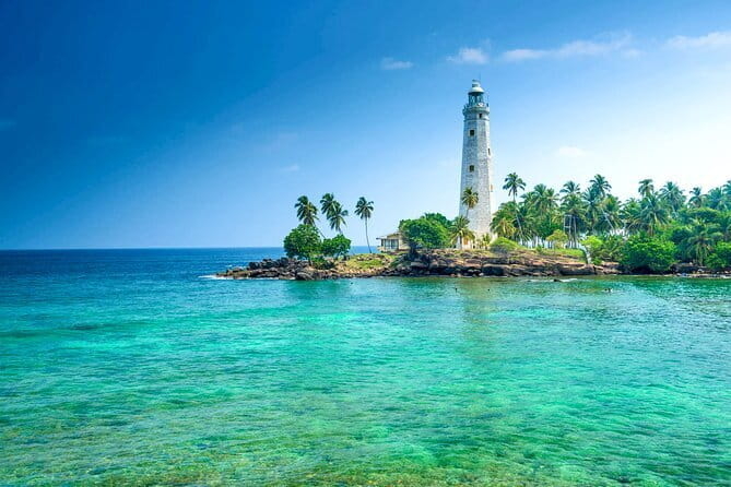 All Inclusive Mirissa Whale and Dolphin Watching Boat Ride - Who should book this morning at sea?