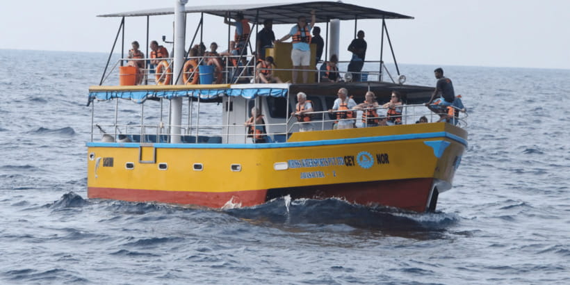 All Inclusive Mirissa Whale & Dolphin Watching + Snorkeling - Key points to know before booking