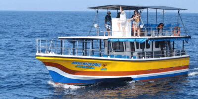 All Inclusive Mirissa Whale & Dolphin Watching + Snorkeling