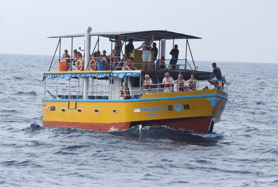 All Inclusive Mirissa Whale & Dolphin Watching + Snorkeling - A cold beer and the ride back