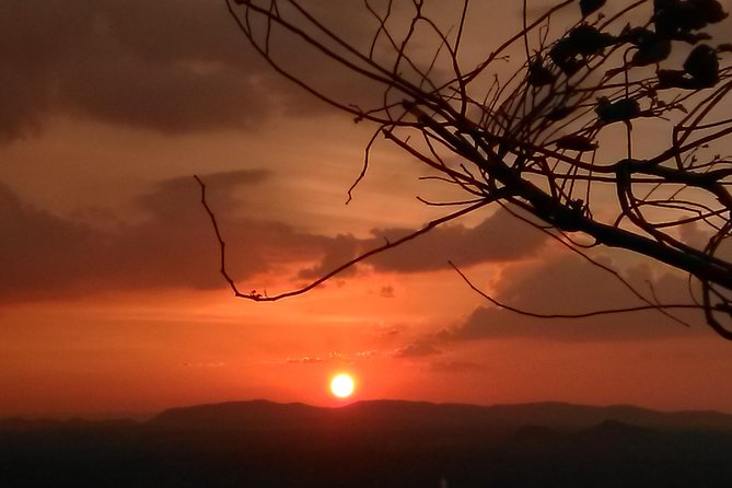 All inclusive Private day trip Sigiriya and Dambulla caves with more - Who should book this route