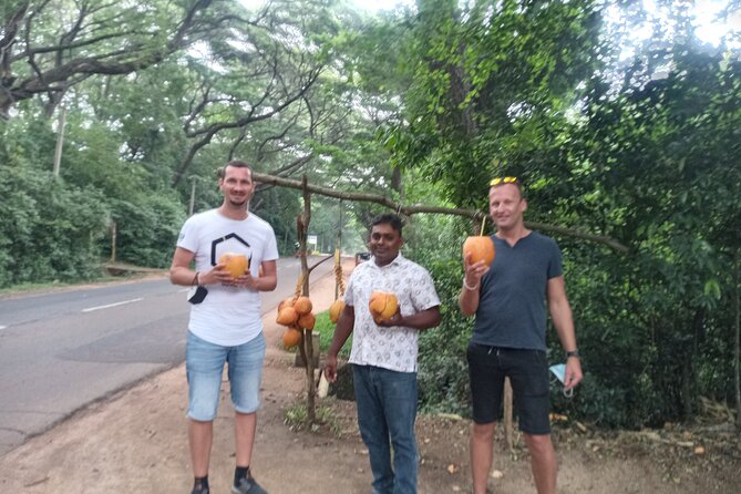 All inclusive Private day trip Sigiriya and Dambulla caves with more - Cancellation and practical booking notes
