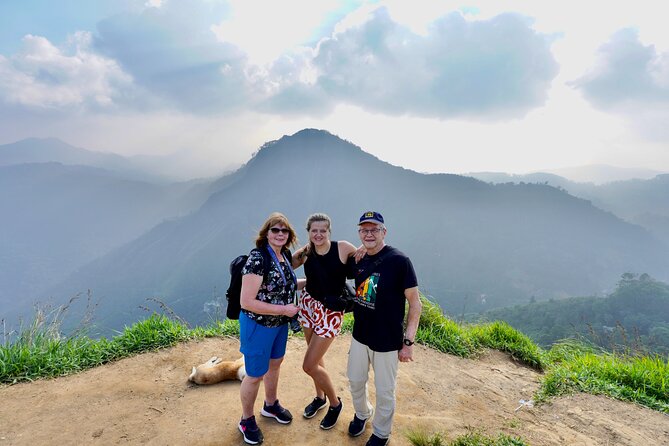 All inclusive private Ella Day Tour with Train Ride & Teafactory - Key points to know before booking