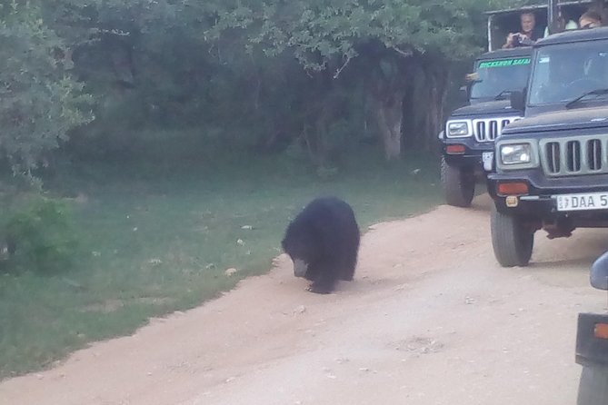 All inclusive Private jeep safari at Yala National park - Key points to know before booking
