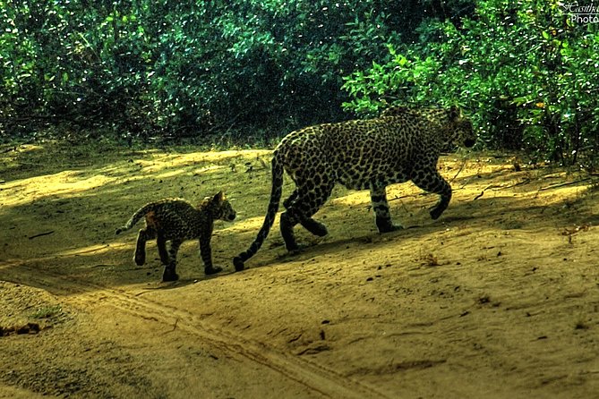 All inclusive Private jeep safari at Yala National park - Sithulpawwa Rock Temple adds a cultural layer