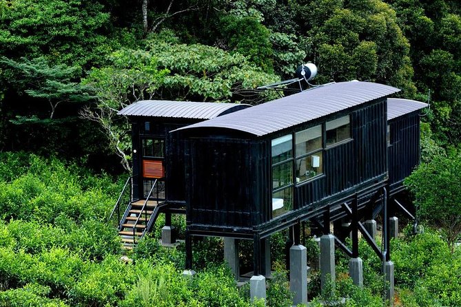 All Inclusive - Private Overnight Rain forest adventure in Sinharaja - The 5:00 am wake-up and 5:30 am forest entrance