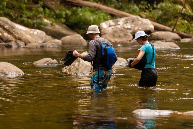 All Inclusive - Private Overnight Rain forest adventure in Sinharaja - What the private guide adds