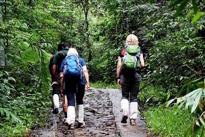 All Inclusive - Private Overnight Rain forest adventure in Sinharaja - What the $390 price covers