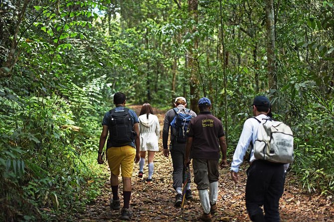 All Inclusive - Private Overnight Rain forest adventure in Sinharaja - The main drawbacks to consider