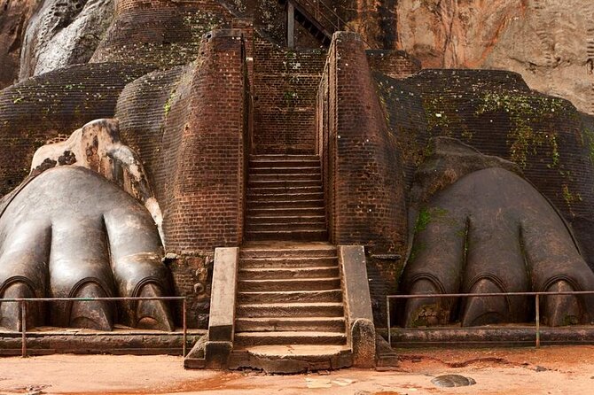 All-inclusive Sigiriya, Dambulla and Wildlife Safari from Colombo - A 4x4 safari for Asian elephants