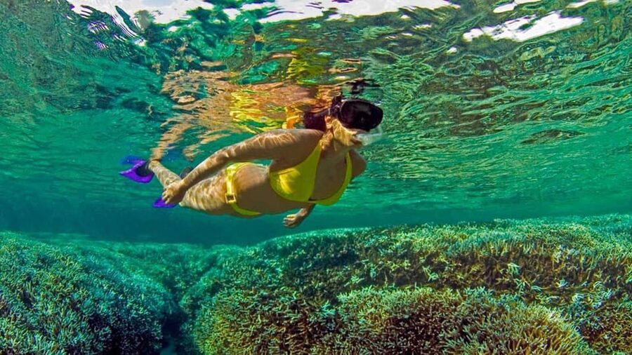 All Inclusive trincomalee: pigeon island tour + Snorkeling - Reaching Pigeon Island and the 30-minute guided visit