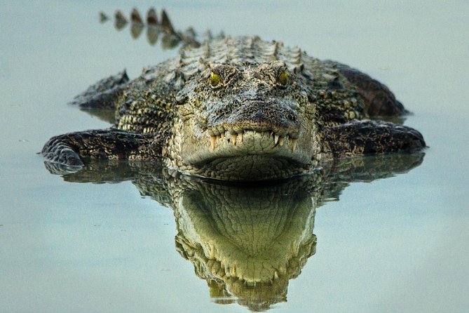 All Inclusive Wilpattu National Park Day Tour From Anuradhapura - Who will get the most from this safari?