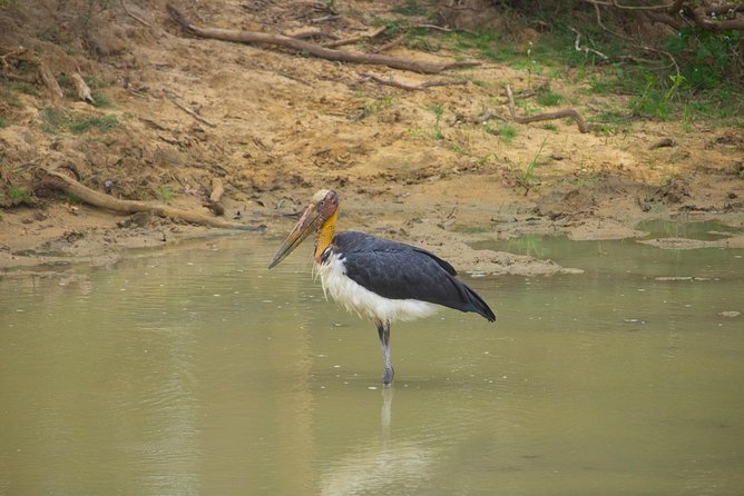 All Inclusive Yala National Park Jeep Safari from Colombo - Entering Yala by safari jeep