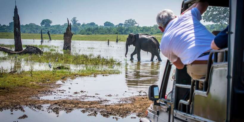 All inclussive Udawalawa National Park Safari From Colombo - The importance of confirming Udawalawe