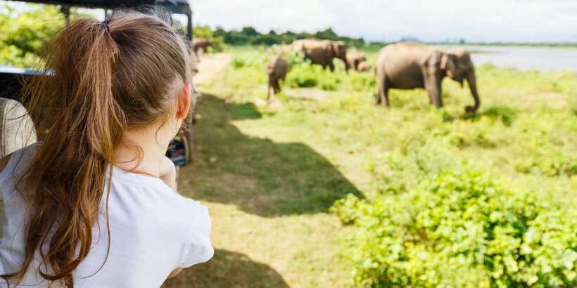 All inclussive Udawalawa National Park Safari From Colombo - The early pickup and five-hour drive