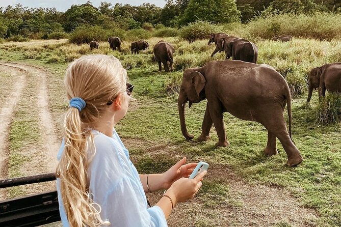 All of Sri Lanka within 10 Days - Horton Plains and Ella deliver the best mountain views
