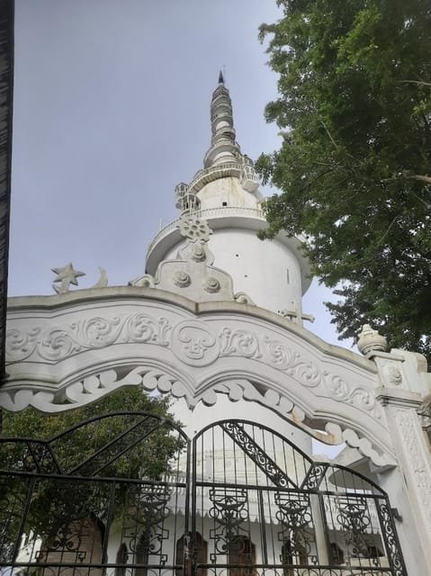Ambuluwawa Tower & Pinnawala & Kandy Day Tour From Colombo - Peradeniya and the Royal Botanical Garden