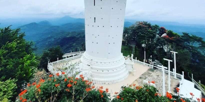Ambuluwawa Tower & Pinnawala & Kandy Day Tour From Negombo - Tea factory and estate: seeing how the drink is made