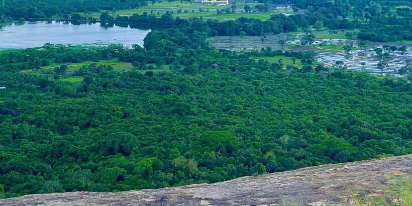 An ultimate day trip to Sigiriya rock fortress - Should you book this Sigiriya day trip?