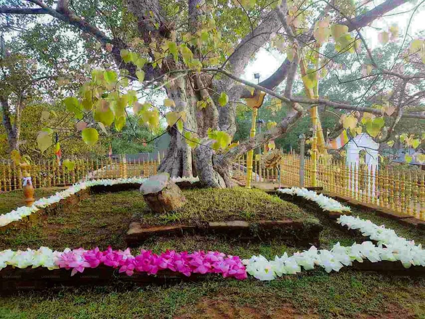 Anuradhapura & Aukana: Private Day Tour From Habarana - The quieter power of the Aukana Buddha