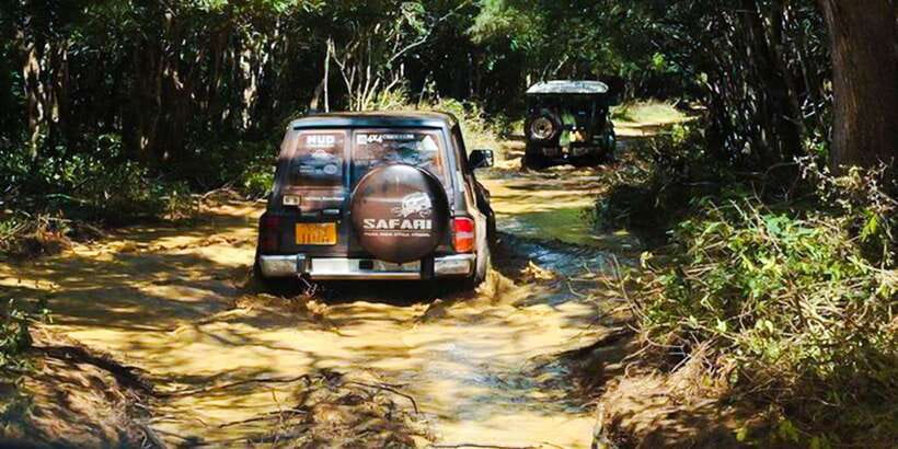 Anuradhapura: Full-Day Wilpattu All Inclusive Private Safari - What the $90 price includes