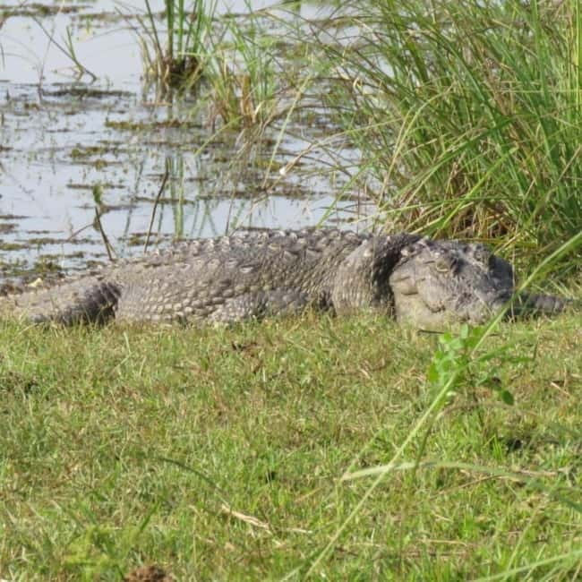Anuradhapura: Full-Day Wilpattu All Inclusive Private Safari - Booking flexibility and practical details