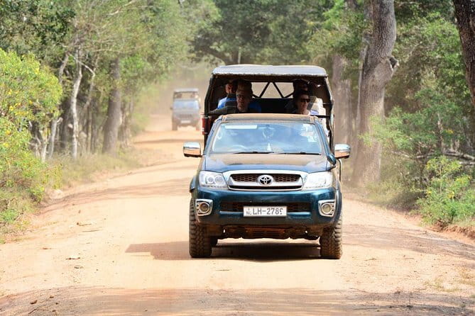 Anuradhapura: Full-Day Wilpattu National Park Private Safari - The 5:45 a.m. pickup from Anuradhapura