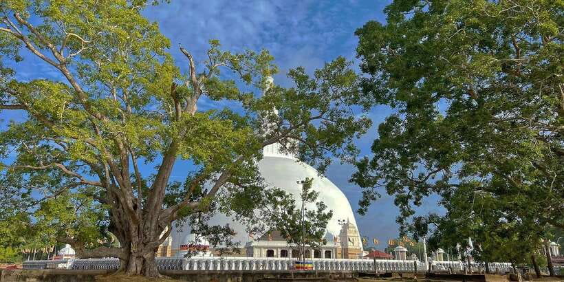 Anuradhapura Private Ancient City Day Tour - Key points to know before booking