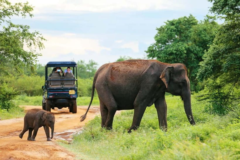 Arugam Bay: Yala Safari & DropOff in Ella - Safari + Transit - Leaving Arugam Bay by hotel pickup