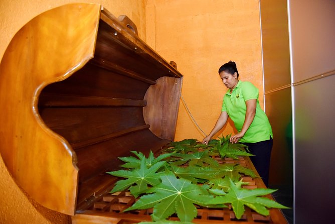 Ayurveda Day Package - Key details before you book